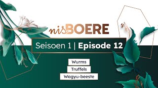 nisBOERE 1 | Episode 12 | Wurms, Truffels en Wagyu-beeste