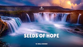 Taoufik - Seeds Of Hope ( Music 2024)