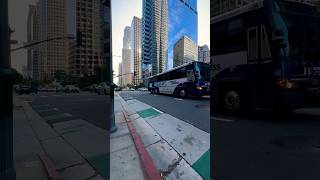 LA Downtown #youtube #video #viral #downtown #la #latest #fyp #shorts #happy #highlights