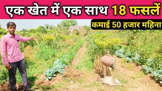 एक खेत में एक साथ 18 फसलें, कमाई 50 हजार महीना || successful farmer intercropping mix farming