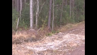 Suspicious death investigation in Berkeley County
