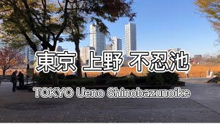 Tokyo Ueno Sinobazunoike December 2020