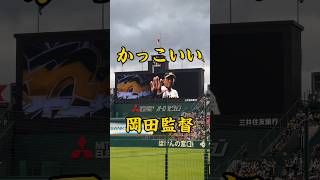 みんな大好き　岡田監督の登場！　#阪神タイガース#神戸 #甲子園#岡田監督#兵庫県 #兵庫#西宮#阪神