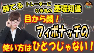 勝てるトレーダーになる為の基礎知識「フィボナッチの使い方は一つじゃない！？」【投資家プロジェクト億り人さとし】