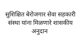 सुशिक्षित बेरोजगार सेवा सहकारी संस्थेसाठी शासनामार्फत मिळणारे अर्थसहाय्य | संस्था | स्वयंरोजगार