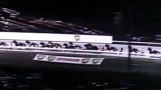 Inter Dominion Trotting Championship 1978 -Derby Royale