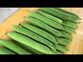 how to grow sponge gourd from seeds for many fruits follow my method