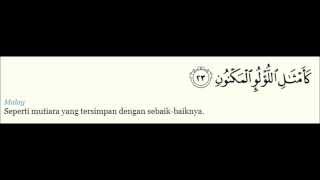 Syeikh Mishari Al Afasy - Al-Waqiah (dengan terjemahan Bahasa Melayu)