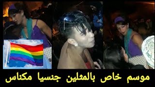 ‏ فضيحة | موسم سيدي علي بنحمدوش بمكناس خاص للشواذ