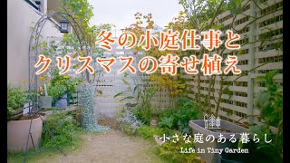 ガーデニング Vlog｜冬の小庭仕事とクリスマスの寄せ植え｜ 〜小さな庭のある暮らし 172〜Gardening ｜ Life in a tiny garden