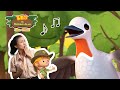 Burung Lyre 🐦 | Leo Si Penjaga Alam | #minisode