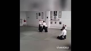 Aikido Kisei....... a martial art......