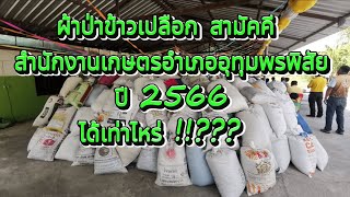 ผ้าป่าข้าวเปลือกสามัคคี สำนักงานเกษตรอำเภออุทุมพรพิสัย ปี 2566