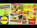 folder LIDL du 21 au 27 août 2024 ⚠️ Arrivage - BELGIQUE