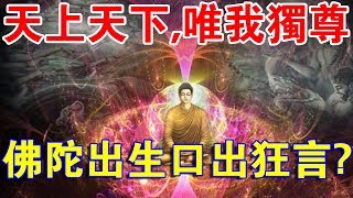 天上天下，唯我獨尊！佛陀誕生為什麼“口出狂言”？