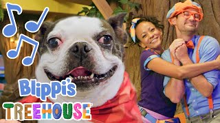 Pets | BLIPPI'S TREEHOUSE | Amazon Kids+ Original | Educational Songs For Kids