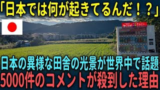 【海外の反応】「日本はどう考えても異世界だ！」日本の田舎の異様な光景が世界中で話題になった理由