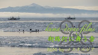 kuma-drone films vol.9 -街路灯に舞う雪-【ドローン 空撮】