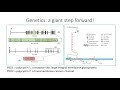 ERKNet/ESPN Webinar - Autosomal Dominant Polycystic Kidney Disease