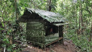 Building survival shelter in the rainforest