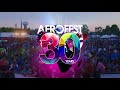 AFROFEST 2018