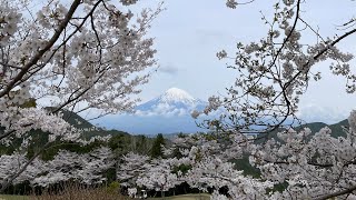 きぬのゴルフちゃんねる | Road to be a pro golfer