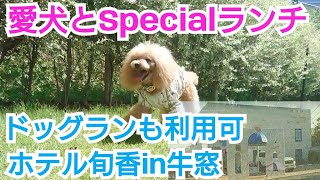 【旬香で愛犬とSpecialランチ】ドッグランを楽しんで来ました！最後には、ついに！