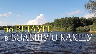 река ВЕТЛУГА 🎣 реки Малая и Большая КАКША 🐟 Сплав НАОБОРОТ 😃