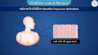 जंतु ऊतक - एपिथिलियमि ऊतक _(भाग -02/b)_ Animal Tissues _ Epithelial tissue_Class-09_Hindi_1080pHD