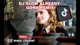 DJ SLOW ALREADY GONE REMIX