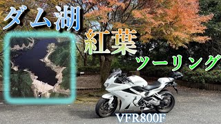 【Honda VFR800F】～紅葉が始まったダム湖 ソロツーリング～