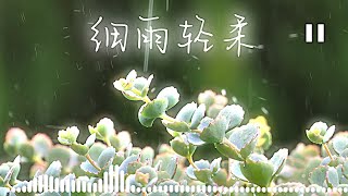 细雨轻柔 | 动听好听的中文音乐歌曲 | Chinese Pop Ballad Music | 中文流行抒情音乐 | 动态歌词 | Lyrics Video