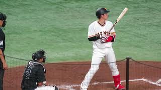 読売ジャイアンツ 増田陸 ⚾