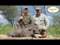 hunting in botswana part v warthog