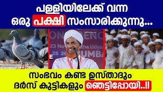 പള്ളിയിലേക്ക് വന്ന ഒരു പക്ഷി സംസാരിക്കുന്നു..?? സംഭവം കണ്ട ഉസ്താദും ദർസ് കുട്ടികളും ഞെട്ടിപ്പോയി..!!