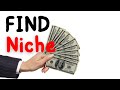 The BEST NICHE Strategy and Tool to Find Profitable KDP Niches (FREE & FAST)