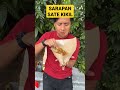 sarapan sate kikil mantap banget