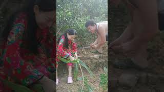 子清（农村搞笑） 今年天旱，田里的一根独苗，不收又怕别人惦记 | funny video for laugh #Shorts #Short #Funny #Funny-videos