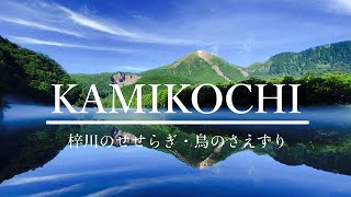 上高地　【自然音・ASMR 】　川のせせらぎ・鳥のさえずり　癒しの自然風景動画　　　　　　　　　　　　　　#上高地#自然音ASMR#環境音川のせせらぎ川の音