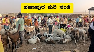 ಶುಕ್ರವಾರದ ಶಹಾಪುರ ಕುರಿ ಸಂತೆ | Friday Shahapura sheep market |