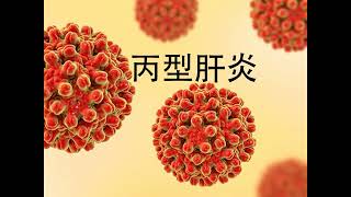 肝炎简介 Introduction to Hepatitis 2024 (Mandarin)