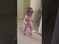 Little girl sees clearly for the first time and it blows her mind ❤️❤️