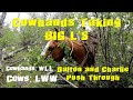 Cowhand's taking BIG L's! Get Short Ep. 19