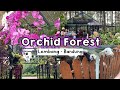 Orchid Forest Cikole Lembang Bandung | Wisata Keluarga 2024