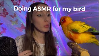 My Parrot Reacts to Popular ASMR Triggers & makes Soothing Sounds | Do you think he got Tingles?