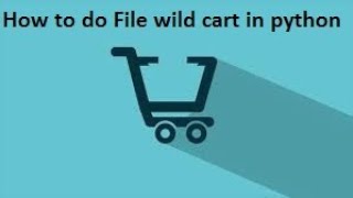 How to do File wild card in python(glob)
