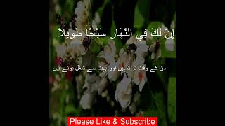 Surah Muzzammil  الْمُزَّمِّلُ |Ayah 73:7| Quran Tilawat| Quran Recitation|Quran Tarjumah