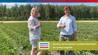 Спеціальні добрива Meristem для суниці садової: досвід використання