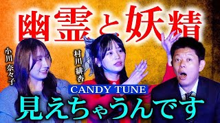 視える人【CNDYTUNE】幽霊や妖精なんでも視えちゃうんです『島田秀平のお怪談巡り』