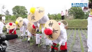 白装束男女が御田植祭／平川・猿賀神社